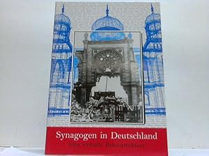 Immagine del venditore per Synagogen in Deutschland. Eine virtuelle Rekonstruktion venduto da Celler Versandantiquariat