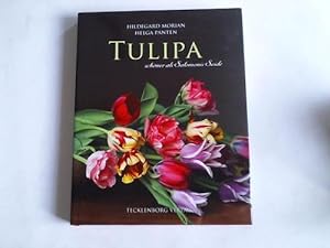 Bild des Verkufers fr Tulipa. Schner als Salomonis Seide zum Verkauf von Celler Versandantiquariat