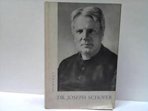 Bild des Verkufers fr Dr. Joseph Schofer. Der ungekrnte Groherzog von Baden zum Verkauf von Celler Versandantiquariat