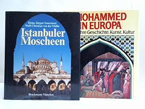 Seller image for Istanbuler Moscheen for sale by Celler Versandantiquariat