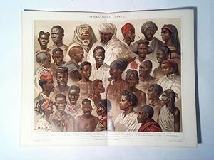 Bild des Verkufers fr Afrikanische Vlker zum Verkauf von Celler Versandantiquariat