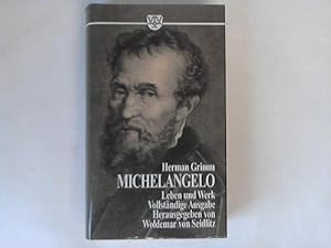 Bild des Verkufers fr Leben und Werk Michelangelos. Der Hhepunkt der Renaissance zum Verkauf von Celler Versandantiquariat