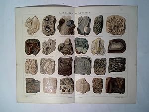 Bild des Verkufers fr Mineralien und Gesteine zum Verkauf von Celler Versandantiquariat
