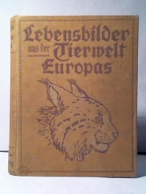 Immagine del venditore per Von Affen, Fledermusen, Insektenfressern, Raubtieren, dem Walro und den Robben. 23 Tiergeschichten/ Von Hrnchen, Biber und Bilchen, Musen, Hasen und anderen Nagern. 2 Bnde in Einem venduto da Celler Versandantiquariat