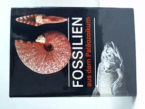 Fossilien aus dem Paläozoikum