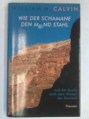 Bild des Verkufers fr Wie der Schamane den Mond stahl. Auf der Suche nach dem Wissen der Steinzeit zum Verkauf von Celler Versandantiquariat