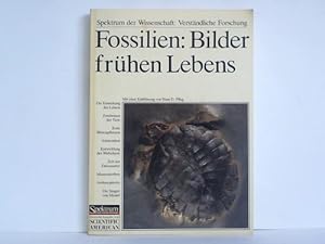 Bild des Verkufers fr Fossilien: Bilder frhen Lebens zum Verkauf von Celler Versandantiquariat