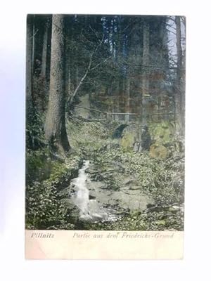 Bild des Verkufers fr Postkarte: Pillnitz - Partie aus dem Friedrichs-Grund zum Verkauf von Celler Versandantiquariat