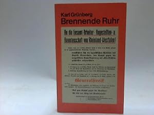 Brennende Ruhr. Roman aus der Zeit des Kapp-Putsches