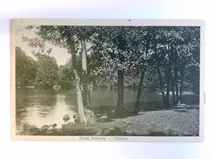 Seller image for 1 Postkarte: Holst. Schweiz - Ukleisee for sale by Celler Versandantiquariat