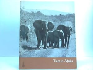 Bild des Verkufers fr Tiere in Afrika von Lutz Heck zum Verkauf von Celler Versandantiquariat