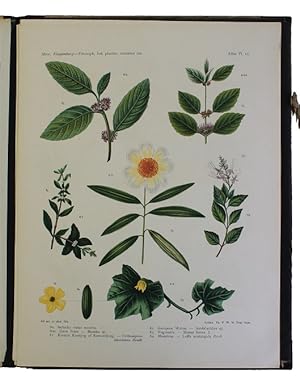 Seller image for Planten-atlas behoorende bij de Wenken en raadgevingen betreffende het gebruik van Indische planten, vruchten enz. 131 ills.op 18 chromo-litho platen. for sale by Antiquariaat Brinkman, since 1954 / ILAB