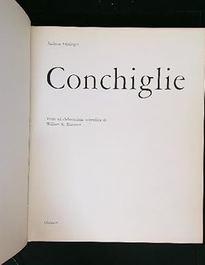 Immagine del venditore per Conchiglie venduto da Librodifaccia