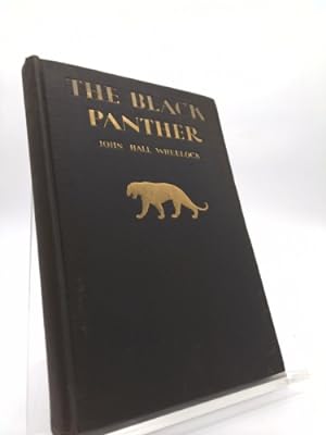 Bild des Verkufers fr The Black Panther: a Book of Poems zum Verkauf von ThriftBooksVintage