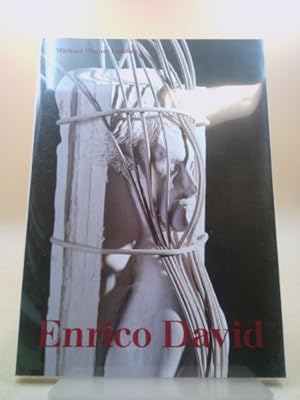 Image du vendeur pour Enrico David: 17 September-16 November 2013 mis en vente par ThriftBooksVintage