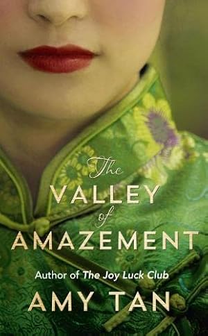 Imagen del vendedor de The Valley of Amazement a la venta por Gabis Bcherlager