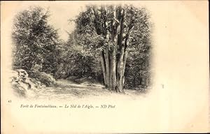 Ansichtskarte / Postkarte Fontainebleau Seine et Marne, Foret de Fontainebleau, Le Nid de l'Aigle