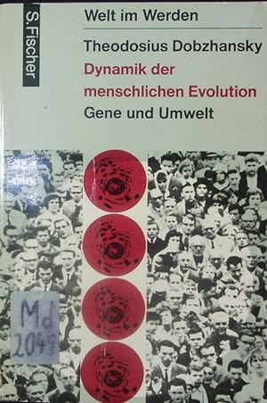 Bild des Verkufers fr Dynamik der menschlichen Evolution. Gene und Umwelt. zum Verkauf von Antiquariat Bookfarm
