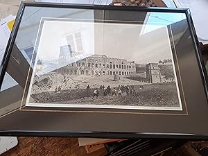 Image du vendeur pour amphittre flavien dit le colise mis en vente par MBLIVRES