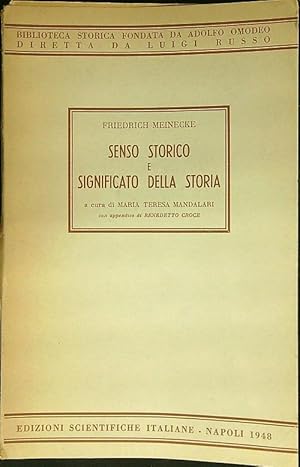 Immagine del venditore per Senso storico e significato della storia venduto da Librodifaccia