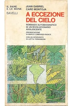 Seller image for A eccezione del cielo Romanzo autobiografico di un rivoluzionario adolescente for sale by Libreria Tara