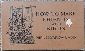 How to Make Friends with Birds
