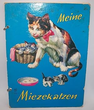 Meine Miezekatzen