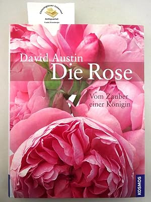 Die Rose : vom Zauber einer Königin. Aus dem Englischen übersetzt von Folko Kullmann.