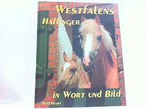 Westfalens Haflinger in Wort und Bild - Die züchterische Entwicklung von 1953 bis 1988.