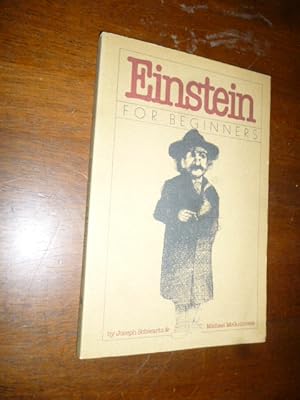 Einstein for Beginners