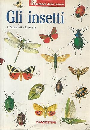 Gli insetti