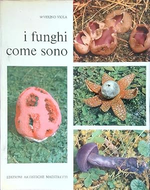 Imagen del vendedor de I funghi come sono a la venta por Miliardi di Parole