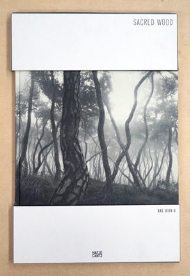Seller image for Bae Bien-Un Sacred Wood. for sale by antiquariat peter petrej - Bibliopolium AG