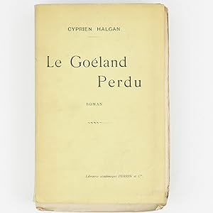 Le Goéland perdu