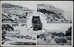 Llandudno Postcard Happy Valley Lucky Black Cat Collectors Series