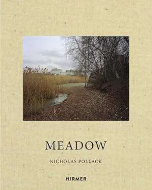 Immagine del venditore per Nicholas Pollack : Meadow venduto da GreatBookPricesUK
