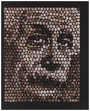 Postcard: Seashell Mosaic Portrait of Albert Einstein by Ken Knowlton