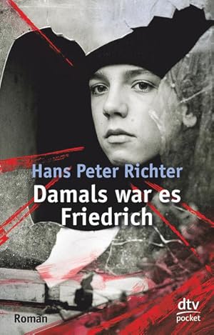 Damals war es Friedrich: Roman