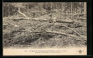 Ansichtskarte Vincennes, le Bois de pittoresque après le Cyclone, Ravage causè près de la Porte J...