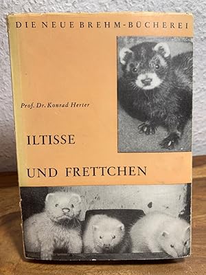 Iltisse und Frettchen.