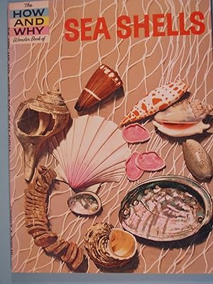 Seller image for The How And Why Wonder Book of Sea Shells for sale by PB&J Book Shop