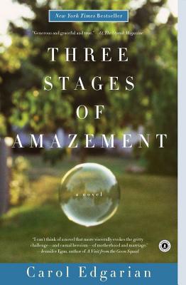 Immagine del venditore per Three Stages of Amazement (Paperback or Softback) venduto da BargainBookStores