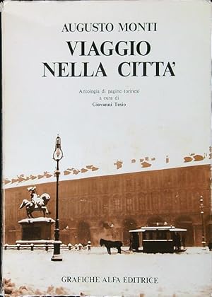 Bild des Verkufers fr Viaggio nella citta' zum Verkauf von Librodifaccia