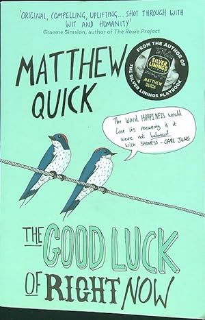 Seller image for The Good Luck of Right Now for sale by Librodifaccia