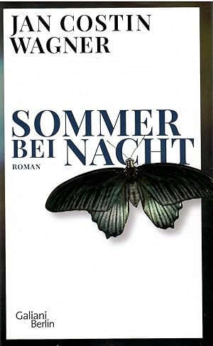Image du vendeur pour Sommer bei Nacht. Roman. mis en vente par Antiquariat Biblion