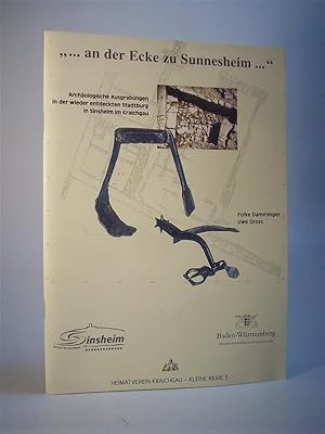   an der Ecke zu Sunnesheim   Archäologische Ausgrabungen in der wieder entdeckten Stadtburg in S...