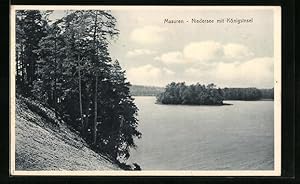 Ansichtskarte Niedersee /Masuren