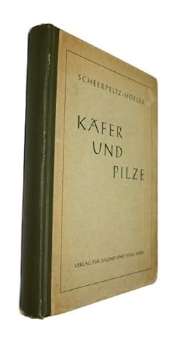 Käfer und Pilze