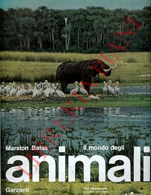 Il mondo degli animali.