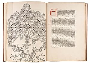 Seller image for Super Arboribus Consanguinitatis et Affinitatis et Cognationis. for sale by The Lawbook Exchange, Ltd., ABAA  ILAB